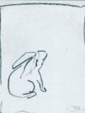Der Hase